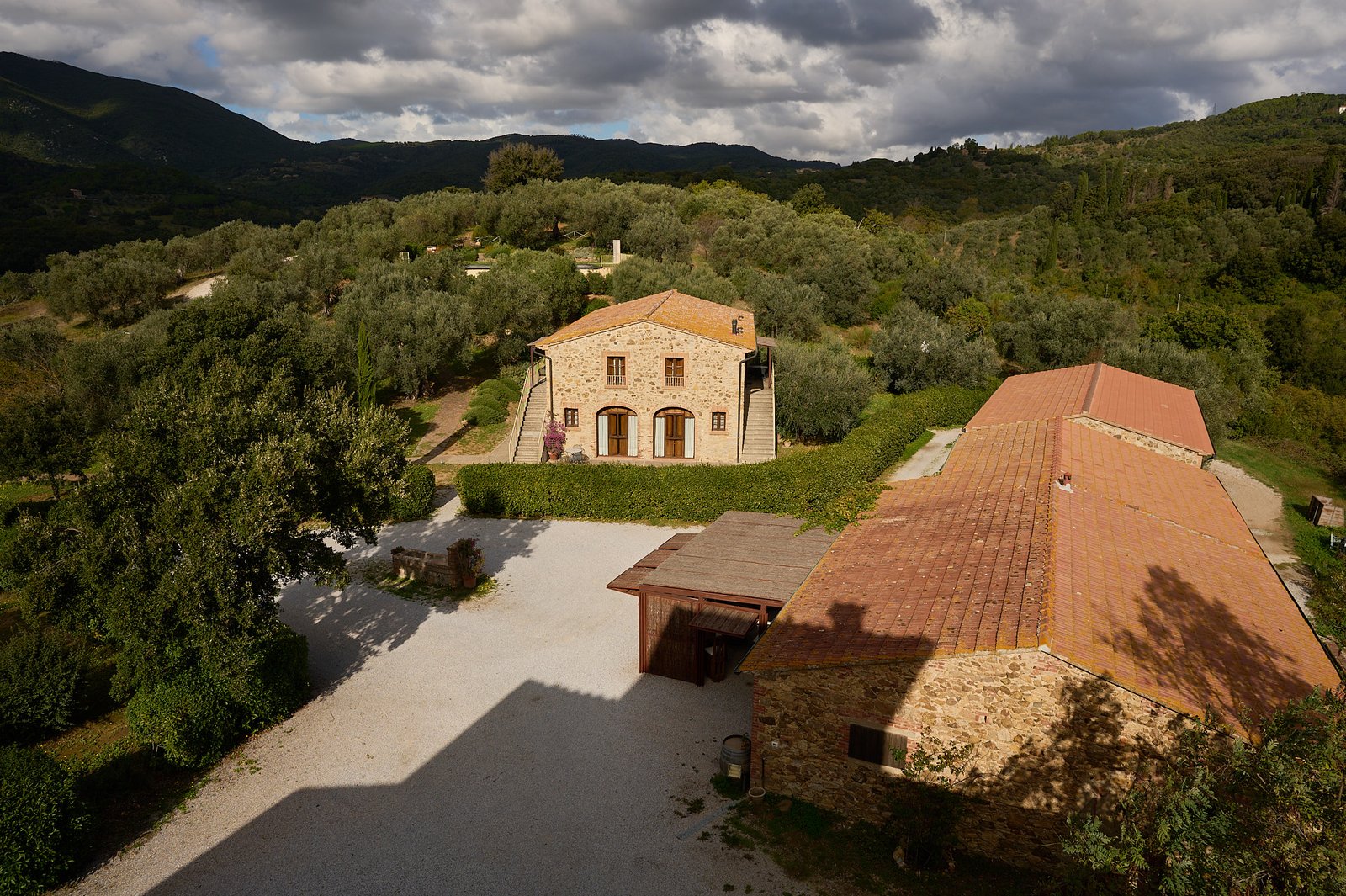 Il Falcone - agriturismo - degustazioni ina cantina suvereto - 2885