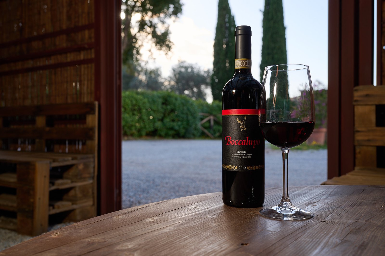 Il Falcone - agriturismo - degustazioni ina cantina suvereto - 2922