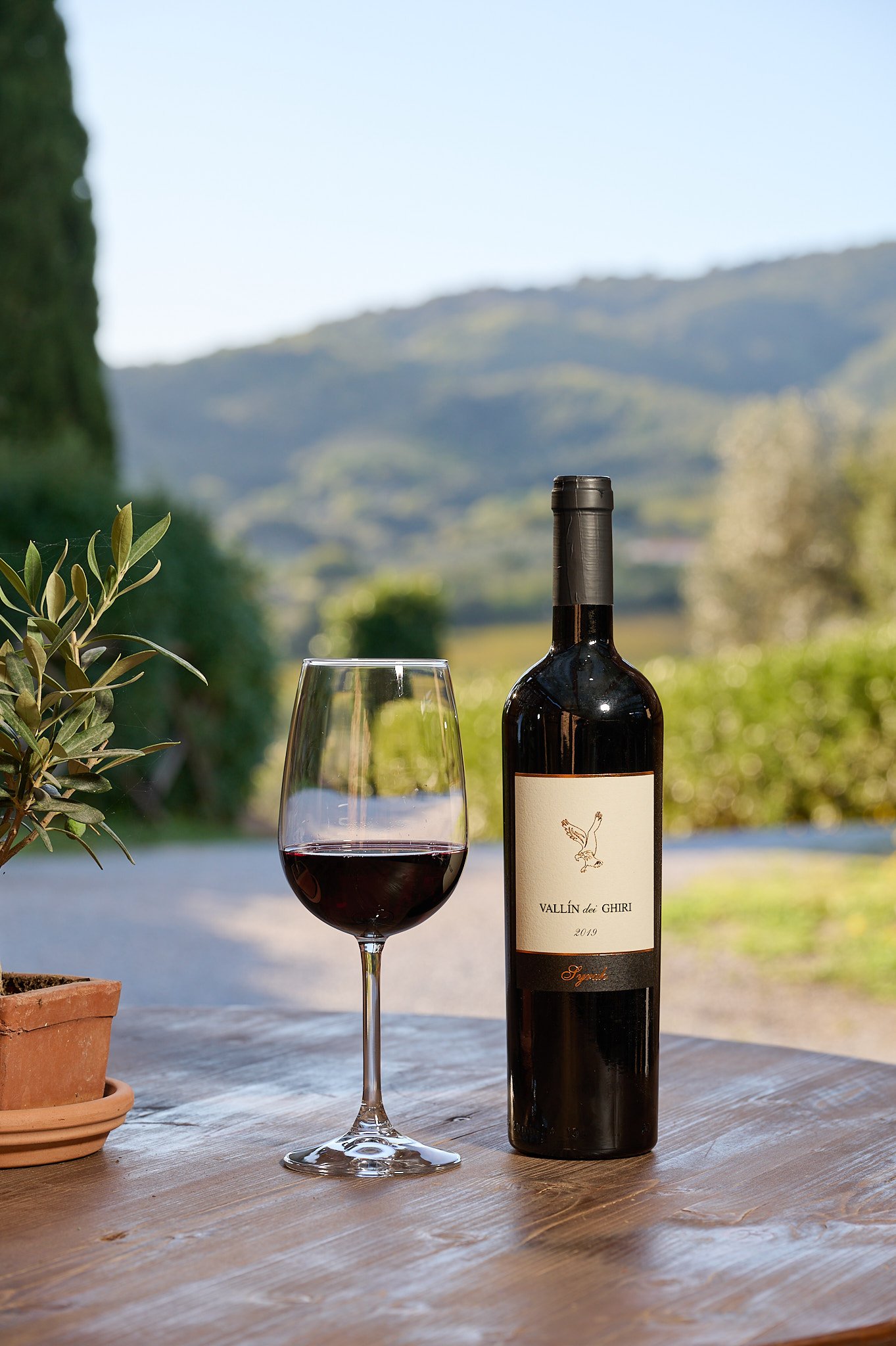 Il Falcone - agriturismo - esterni - 2921