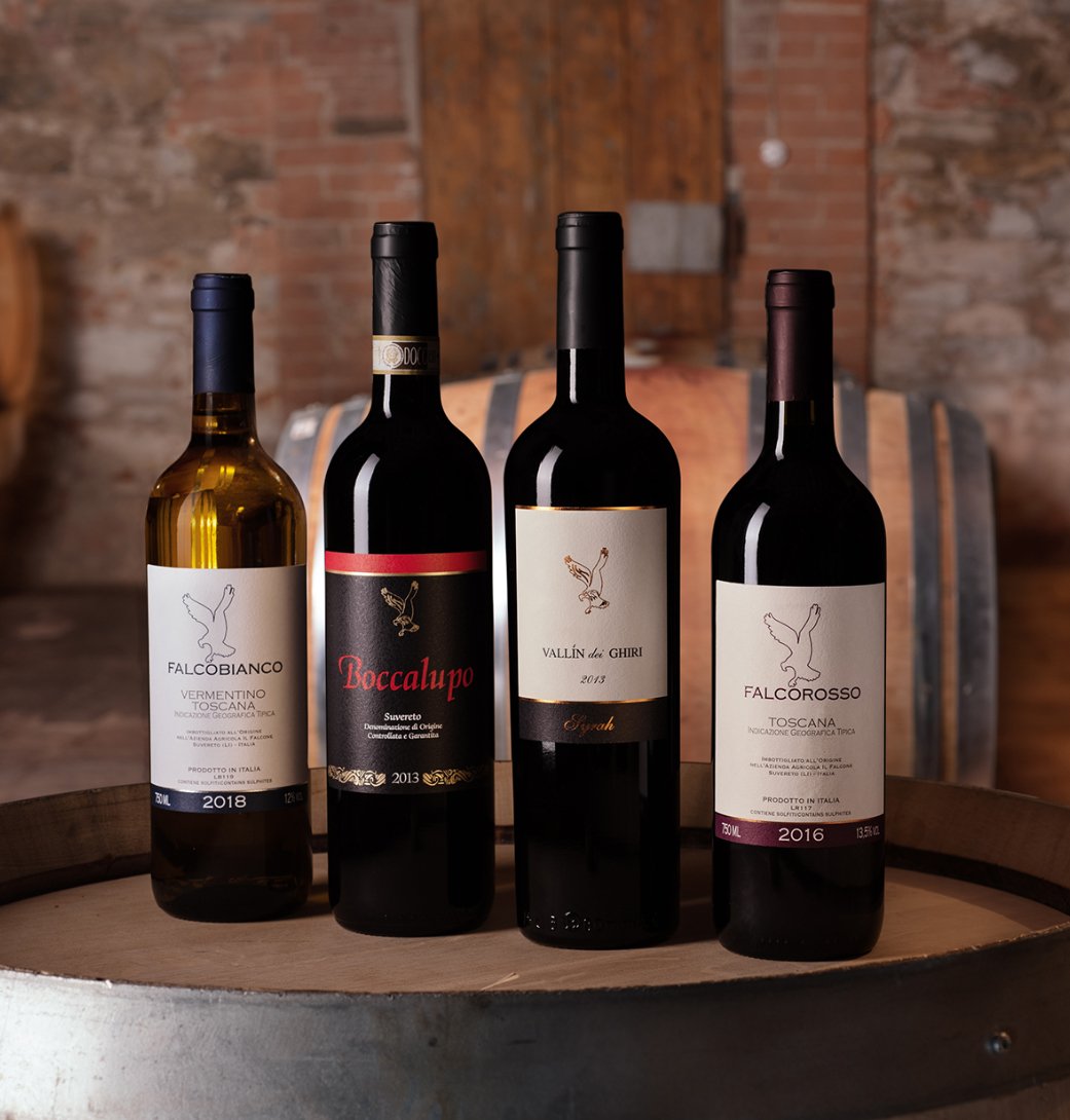 degustazione_vini_il_falcone